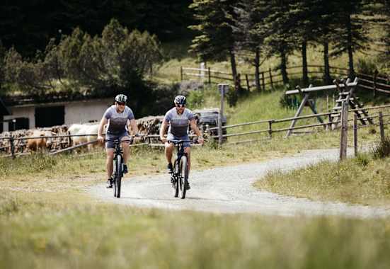 Zwei Radfahren, fahren über einen Radweg an Kühen vorbei