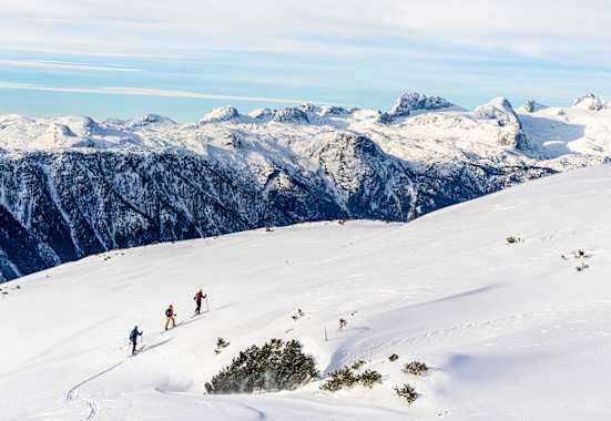 Begleitet von einem herrlichen Panorama geht es stetig bergauf bis zum Gipfel des Hochangers am Loser.