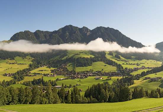Blick auf Alpbach im grünen Alpbachtal.