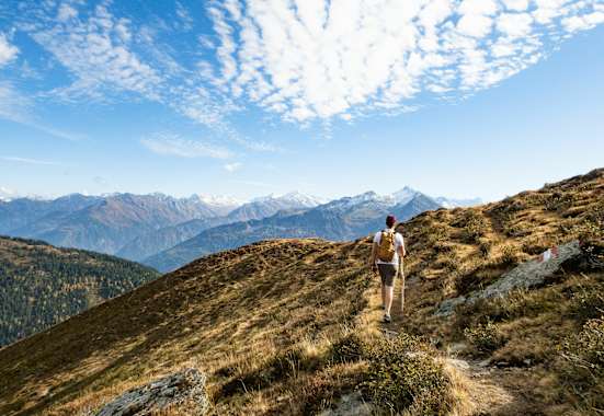 Wanderer am Ronachgeier