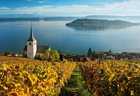 Rebberge am Bielersee im Kanton Bern: Blick auf den See mit der St. Petersinsel