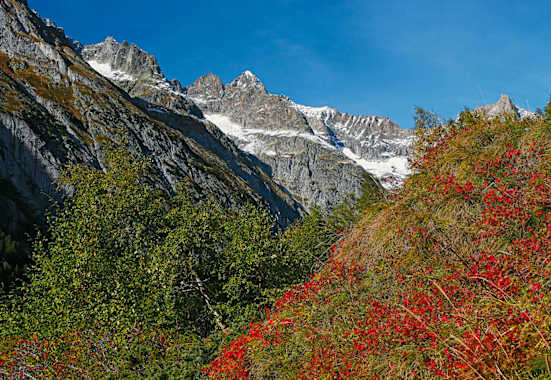 Höhenwege im Wallis: Wandern in der Bietschhorngruppe