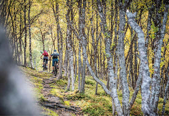 Bikefex Kalender 2021