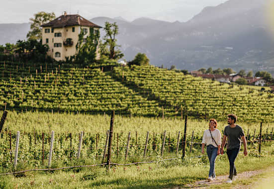 Sanfte Wanderwege entlang der Weinreben laden in Neumarkt zum Flanieren ein.
