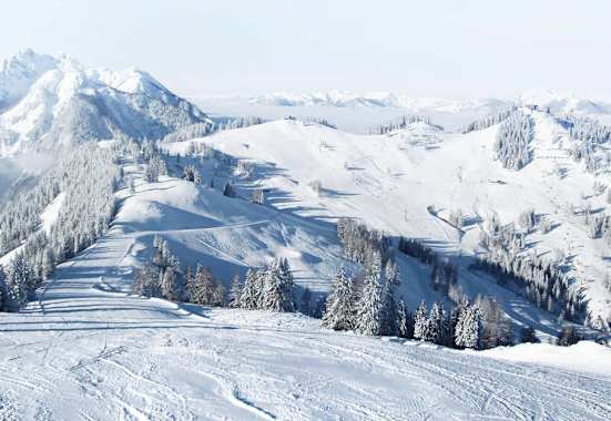 Alpendorf Bergbahnen AG