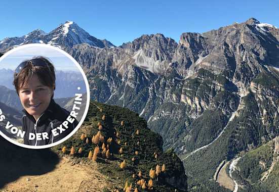 Habicht im Gschnitztal