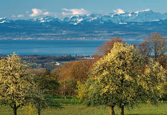 Konstanz in Baden-Württemberg: Bodensee mit Schweizer Alpen