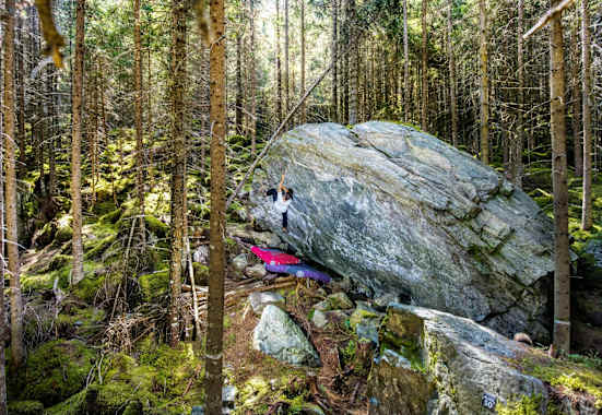 Große Gesteinsbrocken mitten im Wald.