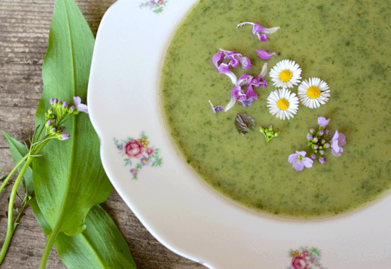 Brennnessel Suppe mit essbaren Blüten