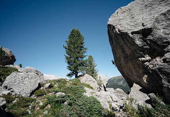 Ein Mann hängt in der Felswand.