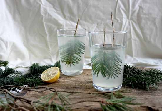 Die „Heiße Fichten-Zitrone" - ein wohltuendes Getränk in der Erkältungszeit