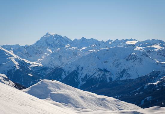 Blick auf den Ortler