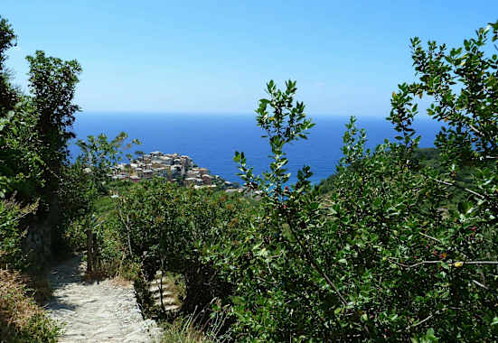 Cinque Terre - Wandern in Ligurien