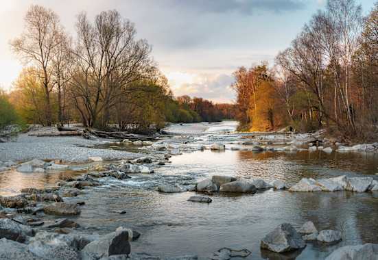 Die Isarauen am Flaucher bei München