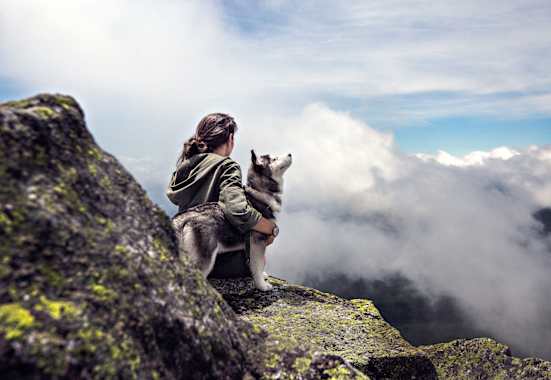 Husky mit Mensch auf Berggipfel 