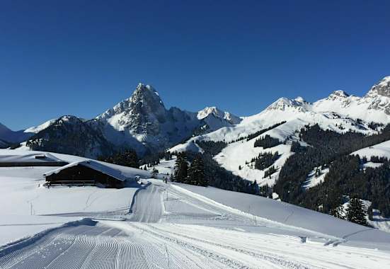 Schneeschuhtour am Gstaader Hausberg Eggli im Kanton Bern