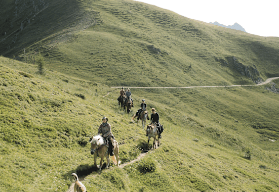 Hoch zu Ross auf den Golzentipp im Lesachtal