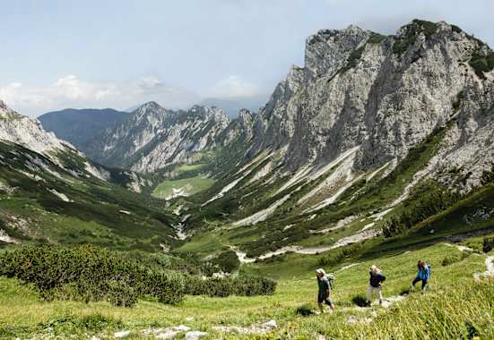 Luchs Trail Nationalpark Kalkalpen