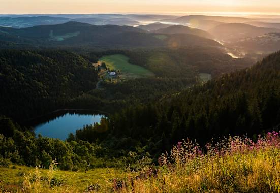 Hochschwarzwald: Wandern am Feldberg
