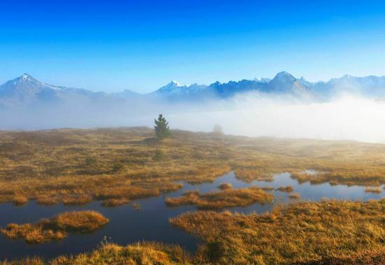 Welttag der Feuchtgebiete: Hochmoor in Tirol