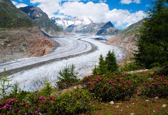 Fiescheralp - Riederalp: Grosser Aletschgletscher in den Berner Alpen im Wallis