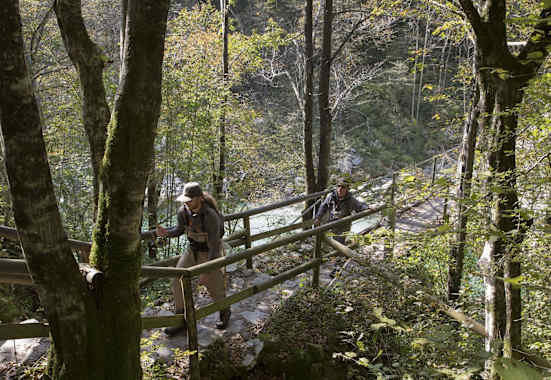 Fliegenfischer wandern durch den Bach