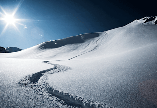 „Die Tischdame der radikalen Freiheit heißt Risiko“