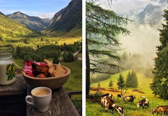 Schule der Alm im Valsertal: Frühstück auf Helgas Alm in Tirol