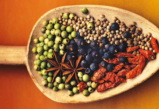 Gewürzschaufel: Kräuter und Gewürze für den Winter