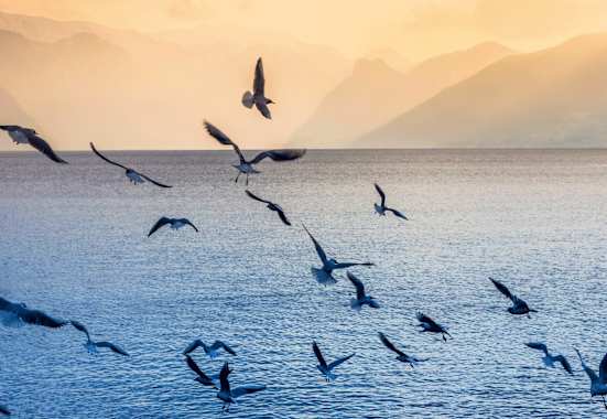 Traunsee bei Gmunden im österreichischen Salzkammergut