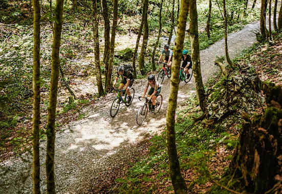 Die Gravelbike-Gruppe auf einem Forstweg.