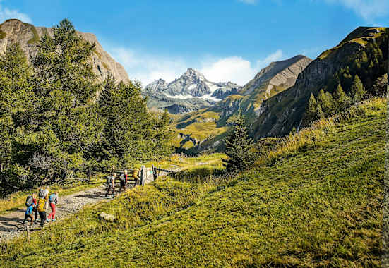 Wanderung im Grünen in Richtung Groß Glockner