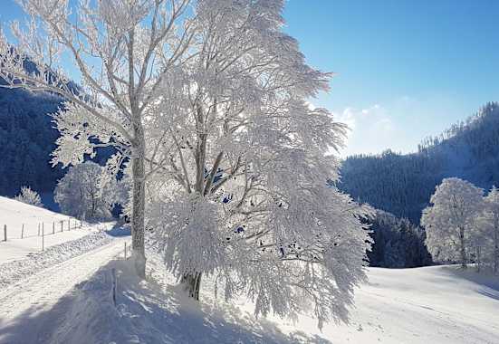 Winterwandern: Oberösterreichische Voralpen
