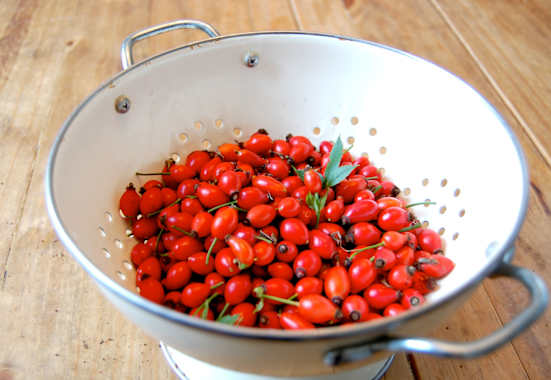 Selbstgemacht: Hagebutten-Ketchup
