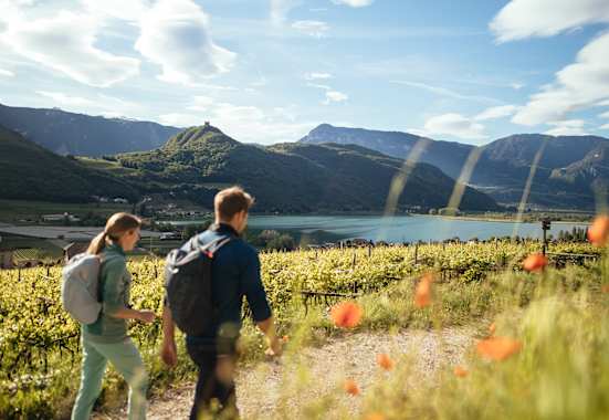 Mit seinem mediterranen Frühling lädt das belebte Weindorf Kaltern am See bereits Mitte März zu Wanderungen in den Weinbergen ein.