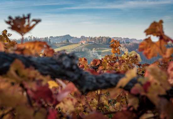 Herbstliche Wanderung durch die Heiligengeistklamm an der südsteirischen Weinstraße bei Leutschach