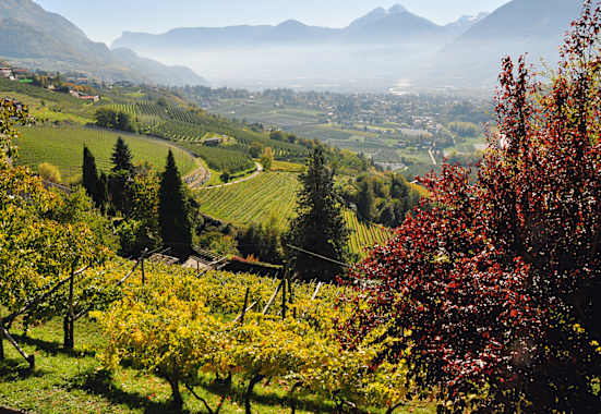 Herbstgenuss rund um Meran