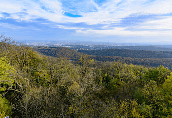 Blick von der Habsburgerwarte auf dem Hermannskogel über die Dächer Wiens