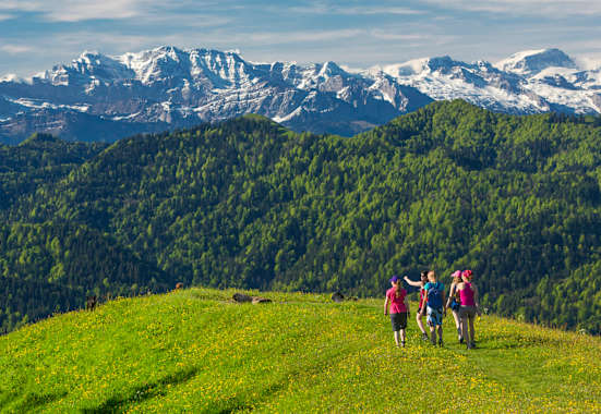 Aussichtsreiches Wandern auf dem Hörnli (1.133 m) vor dem Panorama der Appenzeller Alpen