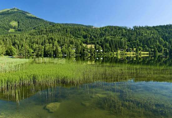 WohlfühlWege: Der Erlaufsee am Fuße der Gemeindealpe