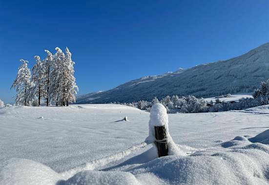 Winter von seiner schönsten Seite.
