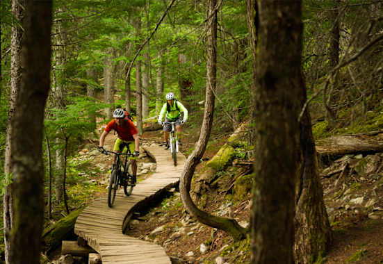 Mountainbiken Forststraßen