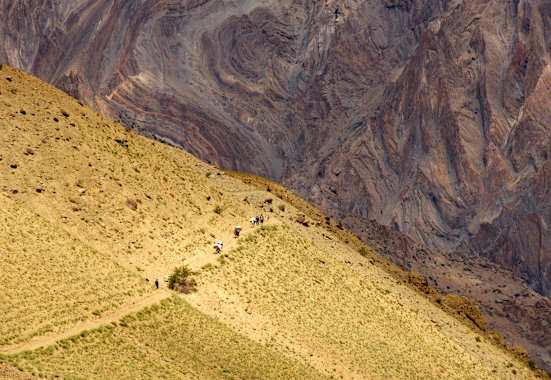 Zanskar Himalaya Trekking