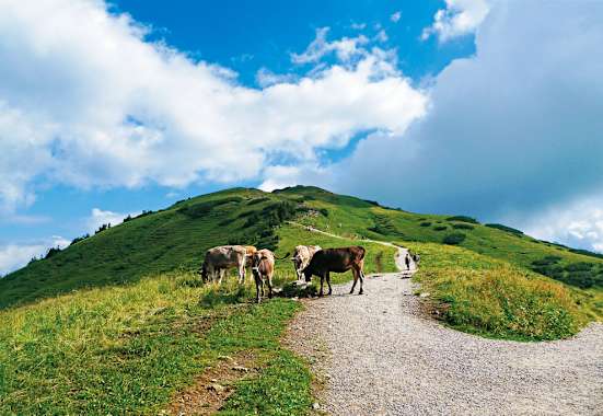 Wandern in den Allgäuer Alpen: Aufs Fellhorn in Vorarlberg