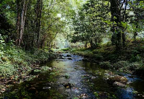 Idyllischer Bachlauf