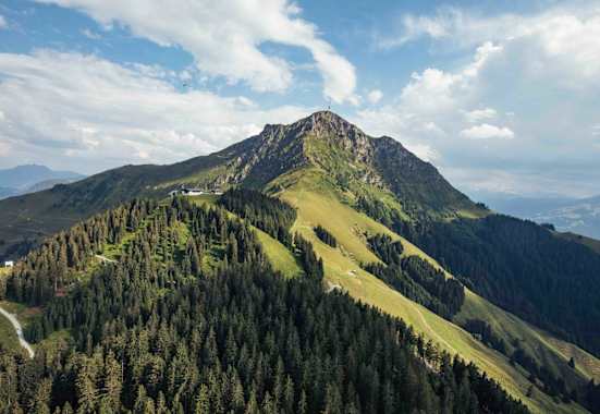 das Kitzbüheler Horn, markanter Gipfel in den Kitzbüheler Alpen