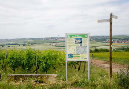 Informationsschild auf dem Kleinen Mainzer Höhenweg