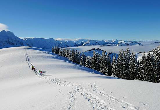 Winterwanderung zum Kronberg im Kanton Appenzell-Innerrhoden