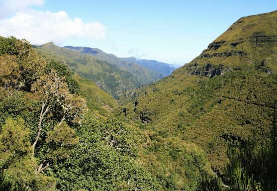 Levada der 25 Quellen: Wandern im Quellgebiet auf der portugiesischen Insel Madeira