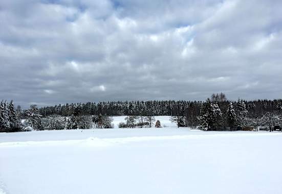 Loßburg Büchenbergspur - Büchenberg
